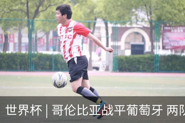 世界杯 | 哥伦比亚战平葡萄牙 两队携手晋级32强